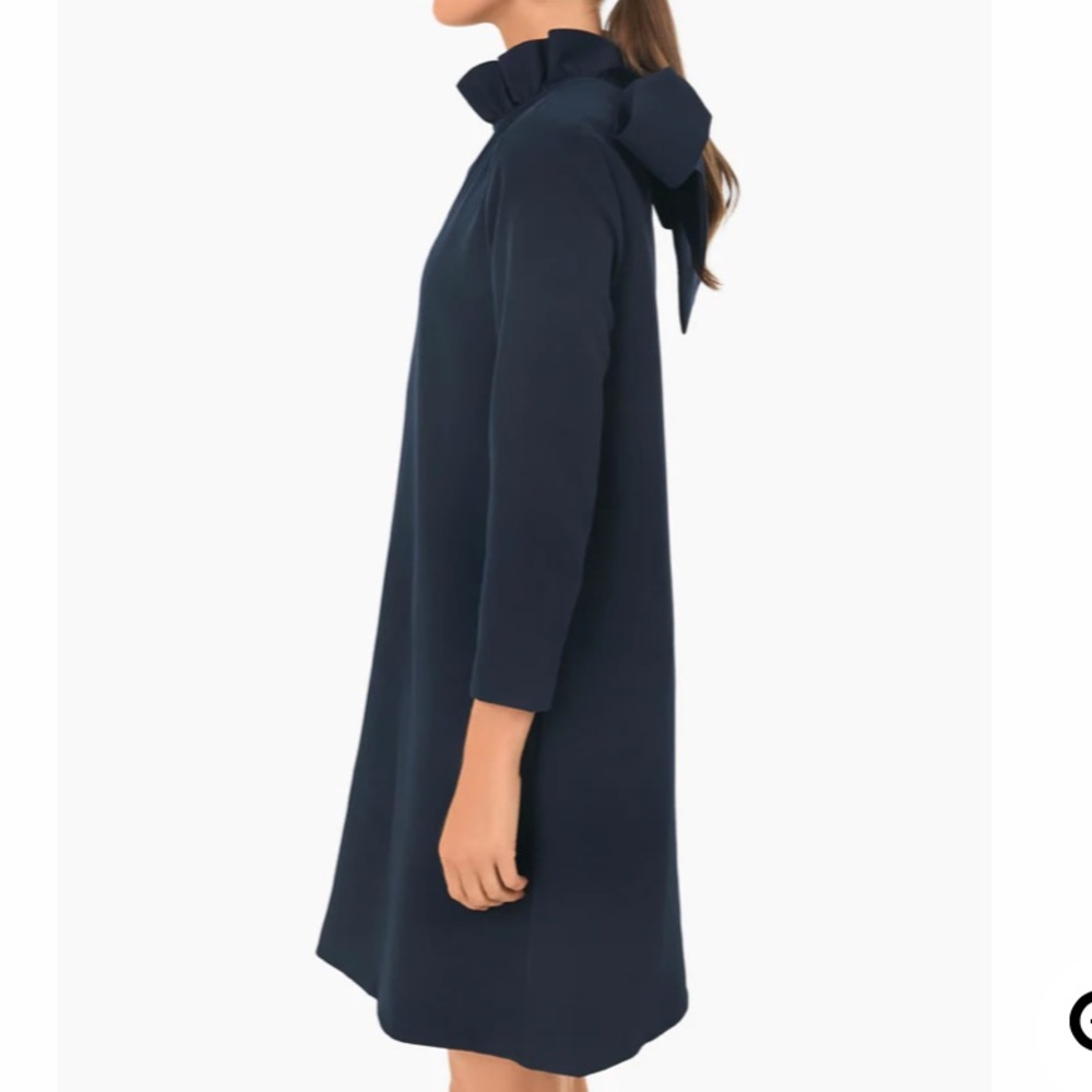 Tuckernuck Navy Ruffle-Neck Mini Dress - Picture 3 of 7